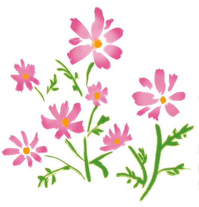 �R�X���X�̃C���X�g